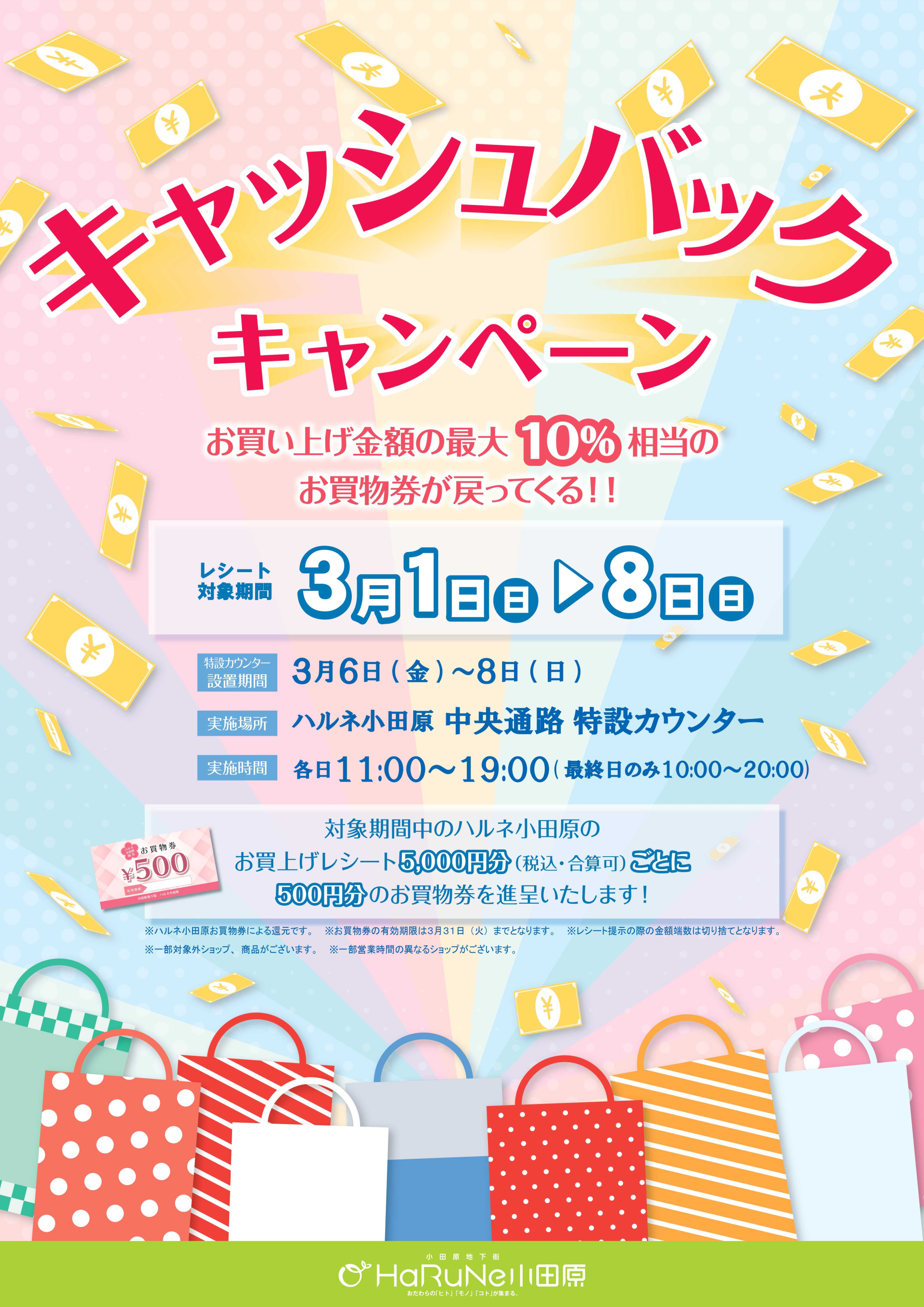 キャッシュバックキャンペーン開催！