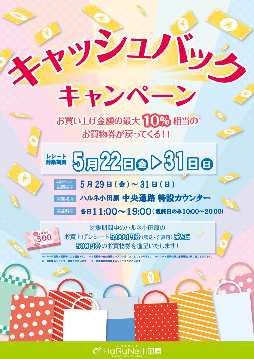 キャッシュバックキャンペーン開催！
