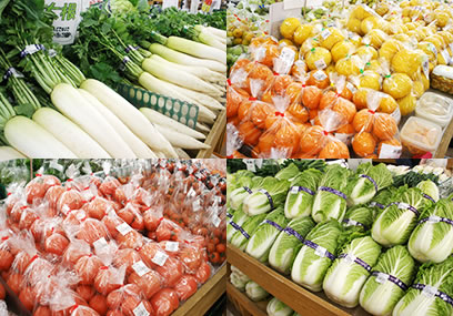 JAかながわ西湘　農産物直売所　朝ドレファ〜ミ♪