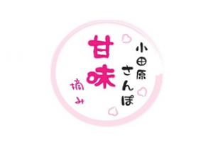 小田原さんぽ甘味摘み