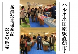 【ハルネ小田原駅直朝市】