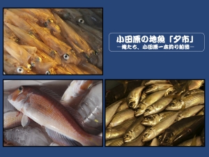 【小田原の地魚「夕市」－俺たち、小田原一本釣り船団－】