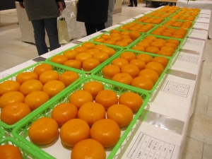【農産物品評会】