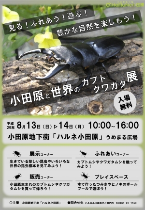 【小田原と世界のカブト・クワガタ展】
