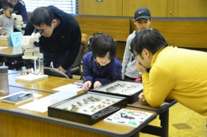 【生命の星・地球博物館ワークショップ「出張よろずスタジオ」】