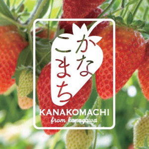 【小田原冬の農産物フェア】