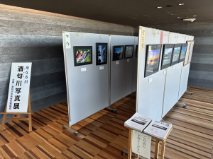 【母なる川 酒匂川写真展】