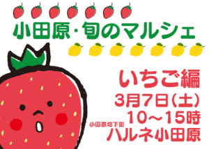 【小田原・旬のマルシェ〜いちご編〜】