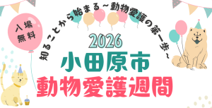 【動物愛護週間(パネル展)】